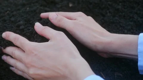Human hands gently touch the loose soil. Video stock 243187742