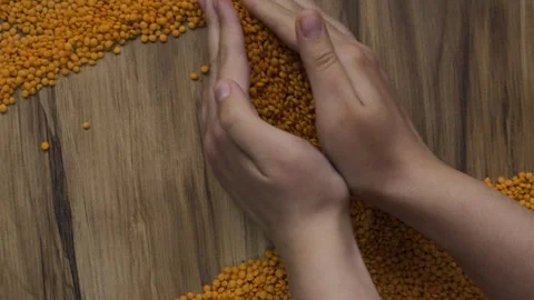 Human hands holding dry orange lentils on wooden table 4k Stock Footage 336933694