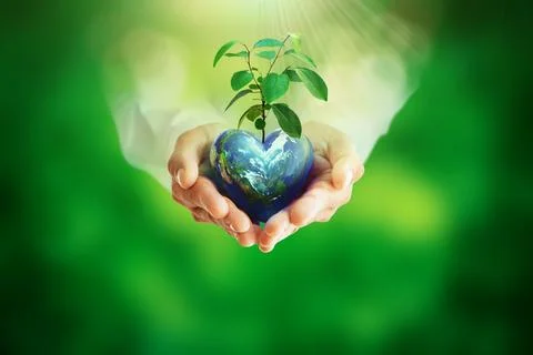 Human hands holding globe ball and tree in on blurred green bokeh backgroun.. Stock Photos
