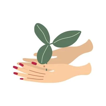 Human hands holding sprout Stock Illustration