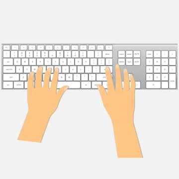 Human hands on keyboard Stock Illustration