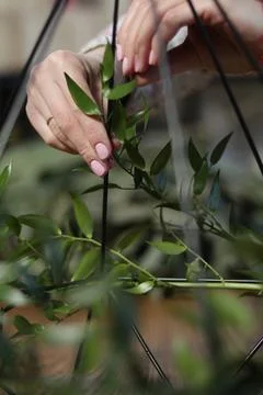 Human hands making a bouquet Stockfoto's