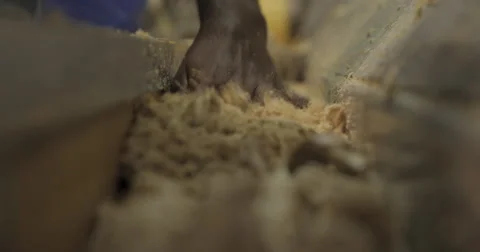 Human Hands Placed Tuna In Conveyor Line (4K) Stock Footage 60934772