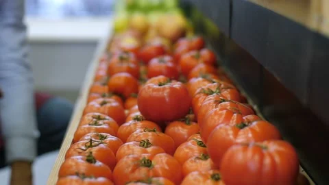 Human hands placing ripe tomato on food shelves Stock Footage 101755259