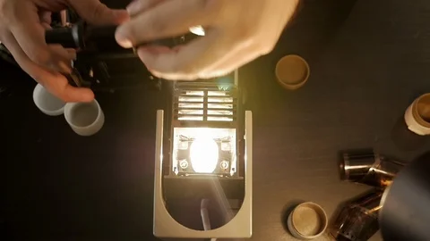 Human hands prepare the device for viewing and developing the film filmstrip Stock Footage 111517481