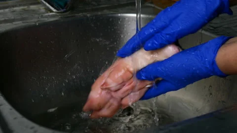 Human hands in rubber gloves thoroughly wash pig legs in kitchen sink. Stock Footage 129503494