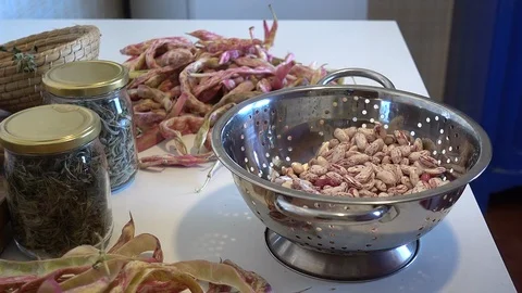 Human hands shelling fresh raw red kidney bean pods on table in the kitchen Stock Footage 112891645