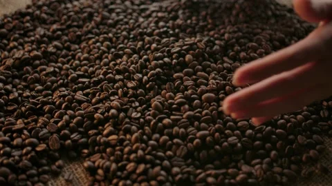 Human hands take a handful of roasted arabica dark coffee beans Stock Footage 137090801
