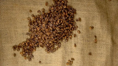Human hands to touch high-quality coffee beans to scatter, bag jute, slow motion Stock Footage 103029993