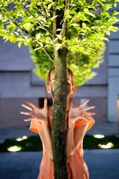 Human hands with tree Stock Photos