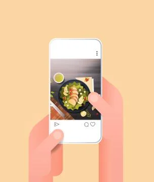 Human hands using online mobile app fresh salad prepared dish for blog on sma Stock Illustration