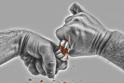 Human hands violently breaking cigarettes Stock Photos