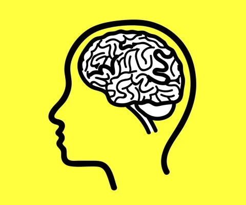Human head and brain on the background. Silhouette. Vector Stock Illustration
