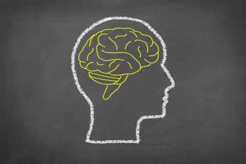 Human head and brain. Stockfoto's