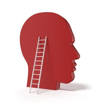 Human head and ladde Illustrazione stock