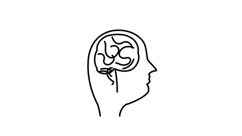Human Head Brain Animation, Mind Process Concept Video Stock Footage 347087567