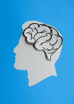 Human Head with Brain on Blue Background Stock Photos