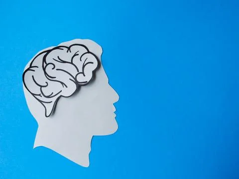 Human Head with Brain on Blue Background Stock Photos