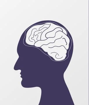 Human head with Brain. Head thinking. brain in head,brainstorm.  flat design Stock Illustration