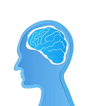 Human head with Brain. Head thinking. brain in head,brainstorm.   Paper art a Stock Illustration