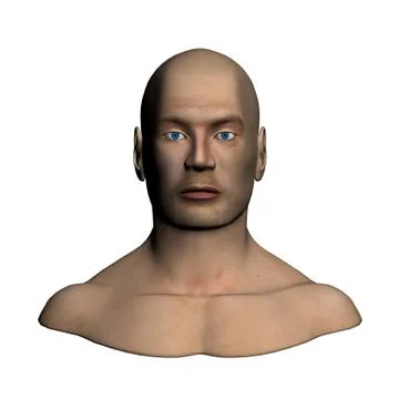 Human head - Frontal view Stock Photos