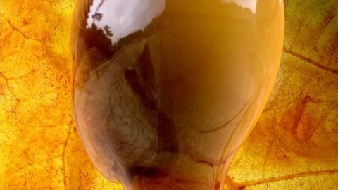 Human head glass 3d face male Stock Footage 90880059