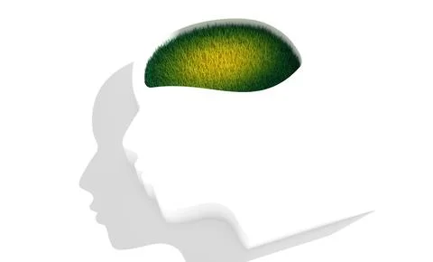 Human head with green grass inside. Banner for medical applications, educational Stock Illustration