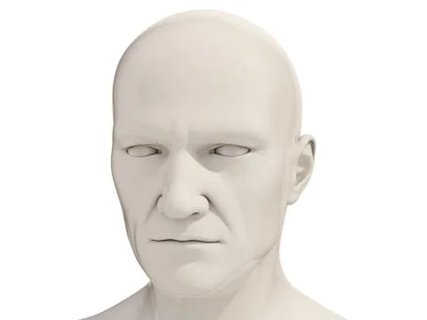 Human head isolated Stock Illustration