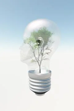 Human head light bulb with tree contained therein Stock Illustration