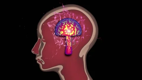 Human head with mushroom inside. Psychedelic Healing. 3d animation render. Stock-Footage 271717088