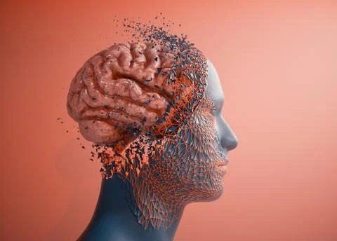 Human head profile and brain inside. Stock Illustration