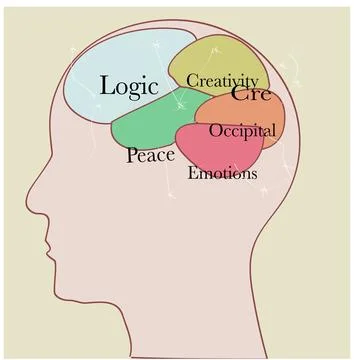 Human head profile with colored brain zones and psychology mental Stock Illustration