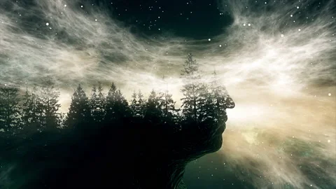Human head silhouette with tree effect Video stock 232553128