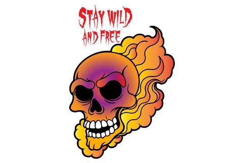 Human head skulls, vector illustration. Stock Illustration