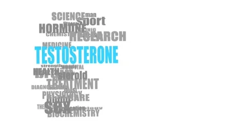 Human head textured by words. Testosterone relative tags or keywords cloud Stock Footage 234683449