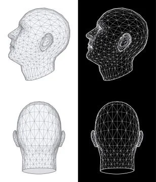 Human head. vector illustration Stock Illustration