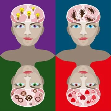 Human head vektor Stock Illustration