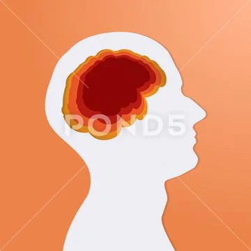 Human Head White With Brain Creative Silhouette Stock Illustration