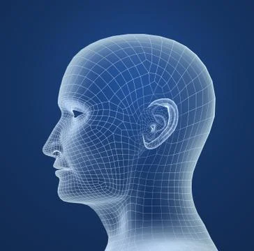 Human head wire model Stock Illustration