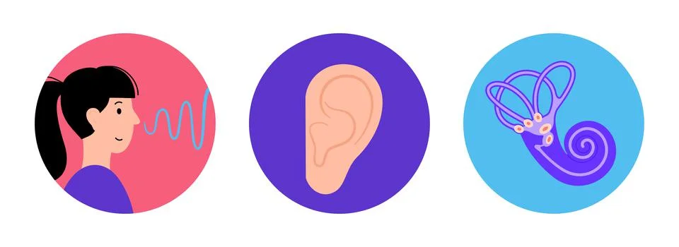 Human hearing icon Stock Illustration