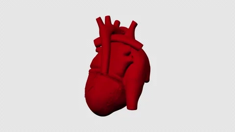 Human Heart 3D With Alpha Channel Stock Footage 274669168