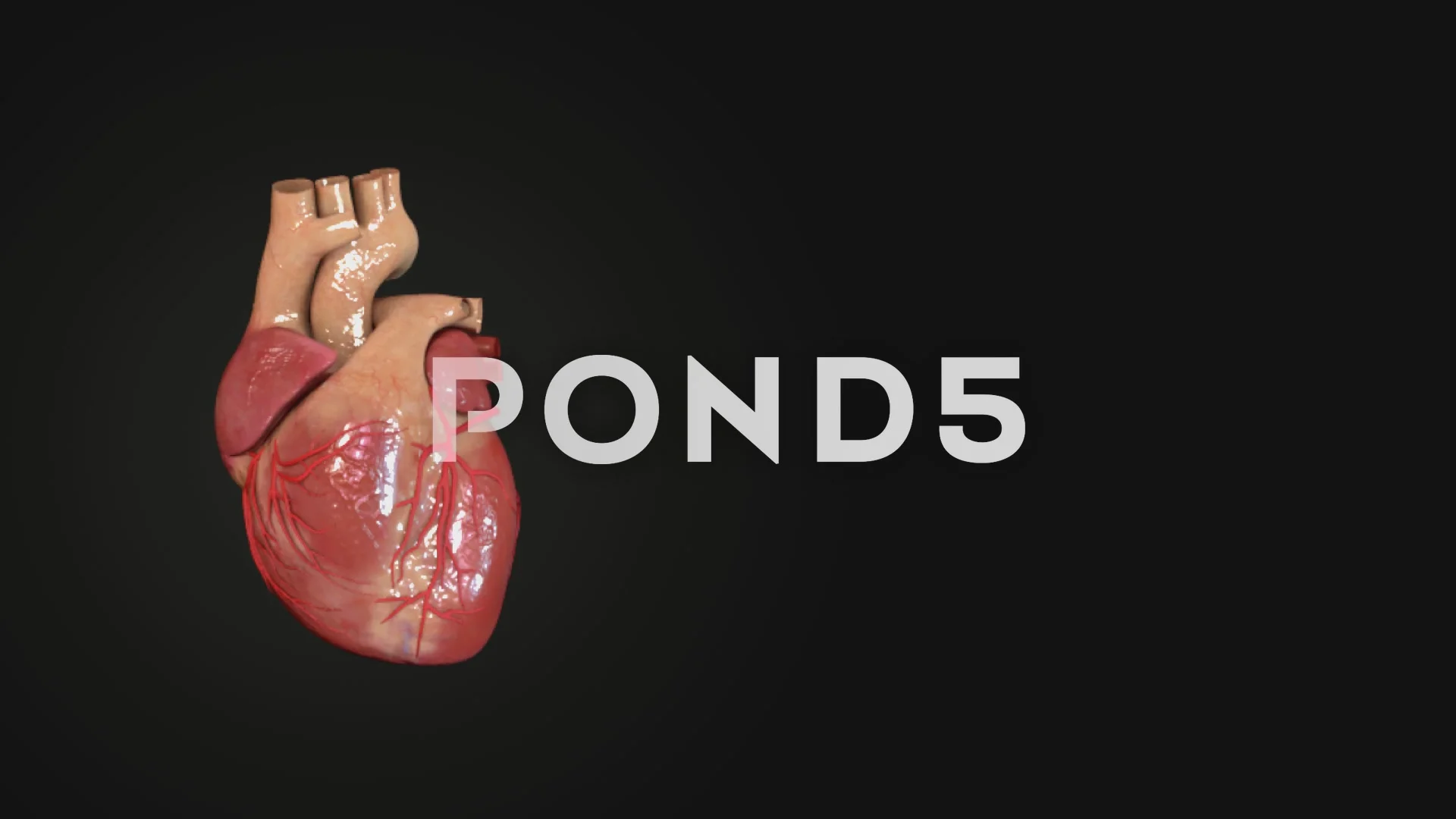 HUMAN HEART 3D animation | Stock Video | Pond5