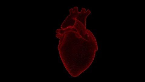 Human heart 3D digital model wireframe glowing red. Seamless looping animation Stock Footage 338185740