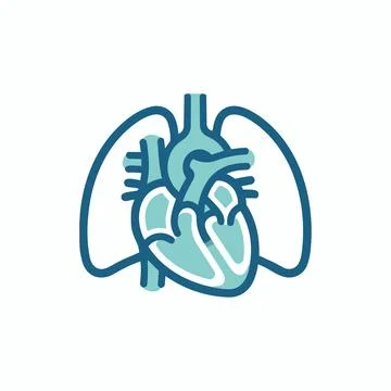 Human heart and lung system anatomy medical icon with respiratory, cardiova.. Stock Illustration