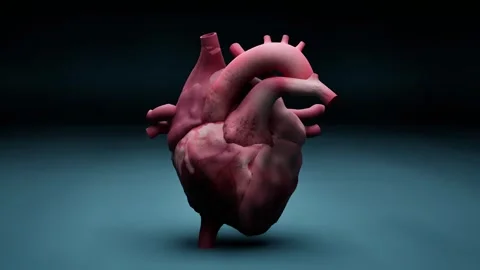 Human Heart Animation Video stock 325934507