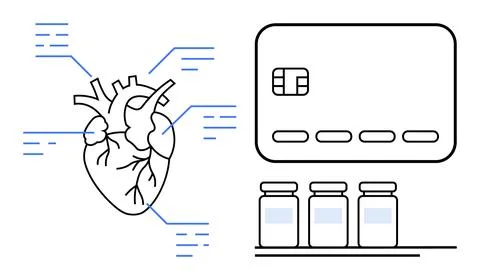 Human heart with annotations pointing to different areas, large credit card w Stock Illustration