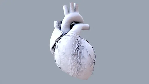 Human heart beating, animation Stock Footage 178574260