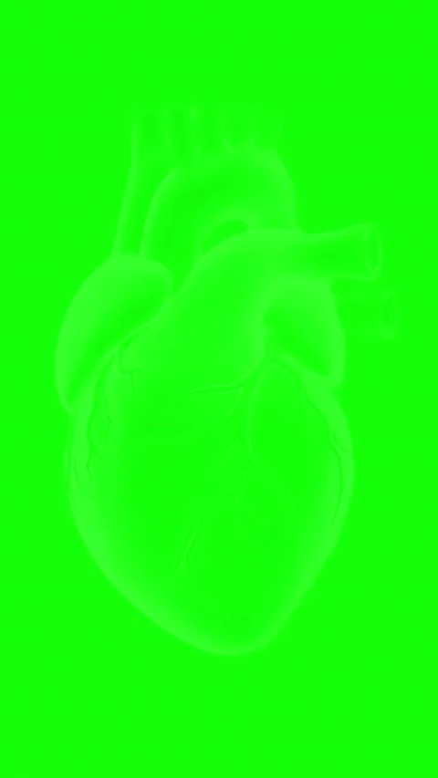 Human heart beating animation on green screen background Stock Footage 341907228