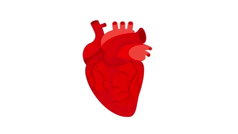 Human heart beating animation on white and green screen Stock Footage 310849297