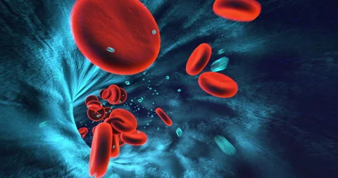 Human heart beating inside transparent rib cage medical concept. Stock Footage 320424607